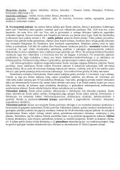 Geologijos kursas 11 puslapis
