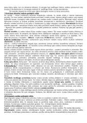Geologijos kursas 3 puslapis