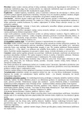 Geologijos kursas 4 puslapis