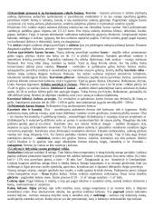 Geologijos kursas 5 puslapis