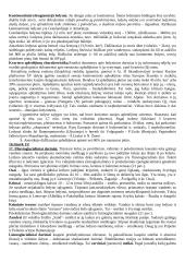 Geologijos kursas 6 puslapis