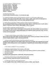 Geologinė sandara ir paviršius 3 puslapis