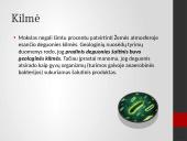 Cheminis elementas deguonis 4 puslapis