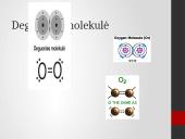 Cheminis elementas deguonis 6 puslapis