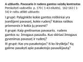 Gamta ir žmogus K. Donelaičio ,,Metuose“ 13 puslapis