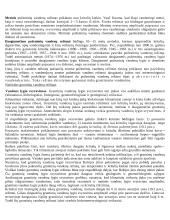 Požeminiai vandenys ir geologija 8 puslapis