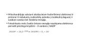 Fotosintezė ir medžiagų apykaita augaluose 20 puslapis