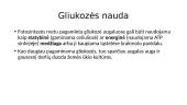 Fotosintezė ir medžiagų apykaita augaluose 7 puslapis