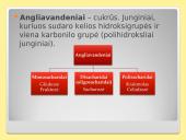 Angliavandeniai – cukrūs 2 puslapis