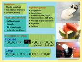 Angliavandeniai – cukrūs 12 puslapis