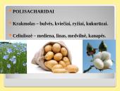 Angliavandeniai – cukrūs 14 puslapis