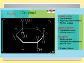 Angliavandeniai – cukrūs 18 puslapis