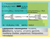 Angliavandeniai – cukrūs 19 puslapis