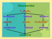 Angliavandeniai – cukrūs 10 puslapis