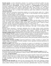 Globalizacijos samprata 2 puslapis