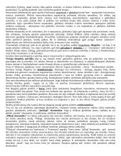 Globalizacijos samprata 3 puslapis