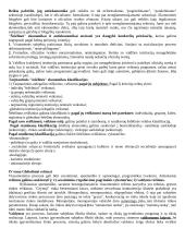 Globalizacijos samprata 4 puslapis