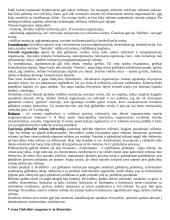 Globalizacijos samprata 6 puslapis