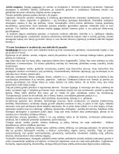 Globalizacijos samprata 8 puslapis