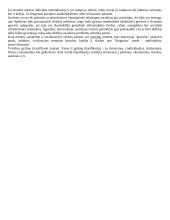 Globalizacijos samprata 9 puslapis