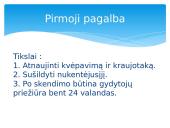 Vandens pavojai 5 puslapis