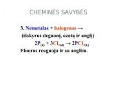 Visa informacija apie halogenus 11 puslapis