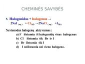 Visa informacija apie halogenus 13 puslapis