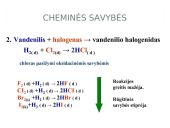 Visa informacija apie halogenus 10 puslapis