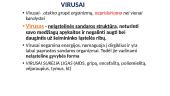 Virusai, bakterijos  3 puslapis