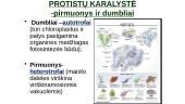 Protistai ir grybai 2 puslapis