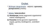 Protistai ir grybai 15 puslapis