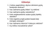 Protistai ir grybai 18 puslapis