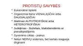 Protistai ir grybai 3 puslapis