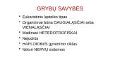 Protistai ir grybai 8 puslapis
