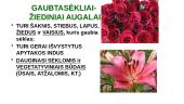 Trumpai apie augalus 14 puslapis