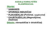 Trumpai apie augalus 5 puslapis