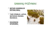 Trumpai apie augalus 6 puslapis