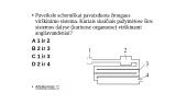 Medžiagų ir energijos apykaita ir pernaša 19 puslapis