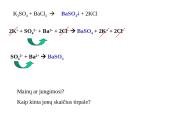 Elektrolitinė disociacija ir mainų reakcijos 10 puslapis