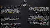 "Kavos piramidė" Nicola Lecca 5 puslapis