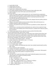 Informacinės technologijos arba informatika 2 puslapis