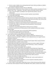 Informacinės technologijos arba informatika 3 puslapis