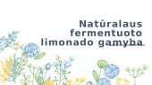 Natūralaus fermentuoto limonado gamyba