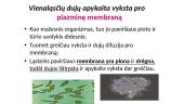 Medžiagų ir energijos apykaita bei pernaša 4 puslapis