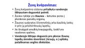 Medžiagų ir energijos apykaita bei pernaša 5 puslapis