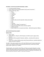 Pasiruošimas rašyti rašinį remiantis Donelaičiu