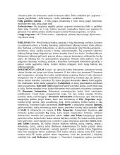 Įvadas į informatiką 2 puslapis