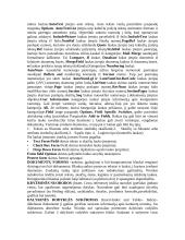 Įvadas į informatiką 3 puslapis