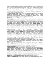 Įvadas į informatiką 4 puslapis