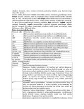 Įvadas į informatiką 8 puslapis